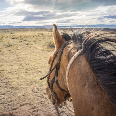 Cabalgata corta a Bahía Redonda