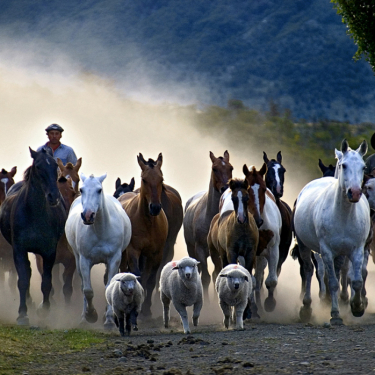 Estancia Nibepo Aike